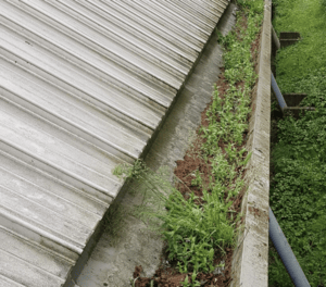 Happy customers in Royston who trust The Roof Moss Cleaners for gutter cleaning services