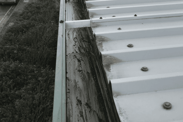Commercial gutter cleaning specialists in Royston